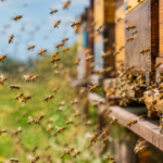 Police officers surrounded by bees during Massachusetts eviction incident