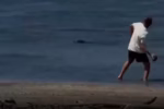 Rich Tourist Attacks Endangered Seal in Hawaii and Says “I’m Rich”