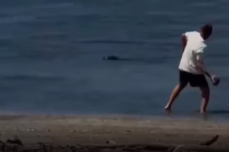Rich Tourist Attacks Endangered Seal in Hawaii and Says “I’m Rich”
